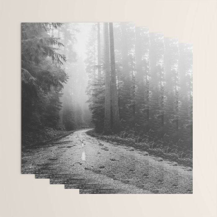 Redwood Forest Adventure Black and White - Nature Photography Wrapping Paper Gallery Image 3
