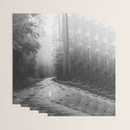 Redwood Forest Adventure Black and White - Nature Photography Wrapping Paper Gallery Image 3