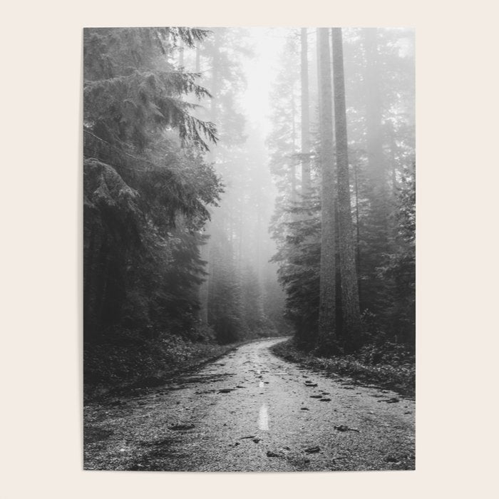 Redwood Forest Adventure Black and White - Nature Photography Poster Gallery Image 1
