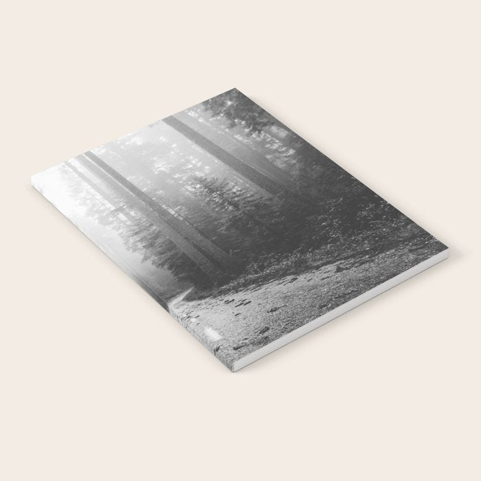 Redwood Forest Adventure Black and White - Nature Photography Notebook Gallery Image 2