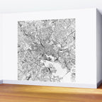 Baltimore White Map Wall Mural Gallery Image 2