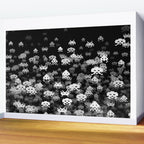 Invaded BLACK Wall Mural Gallery Image 2