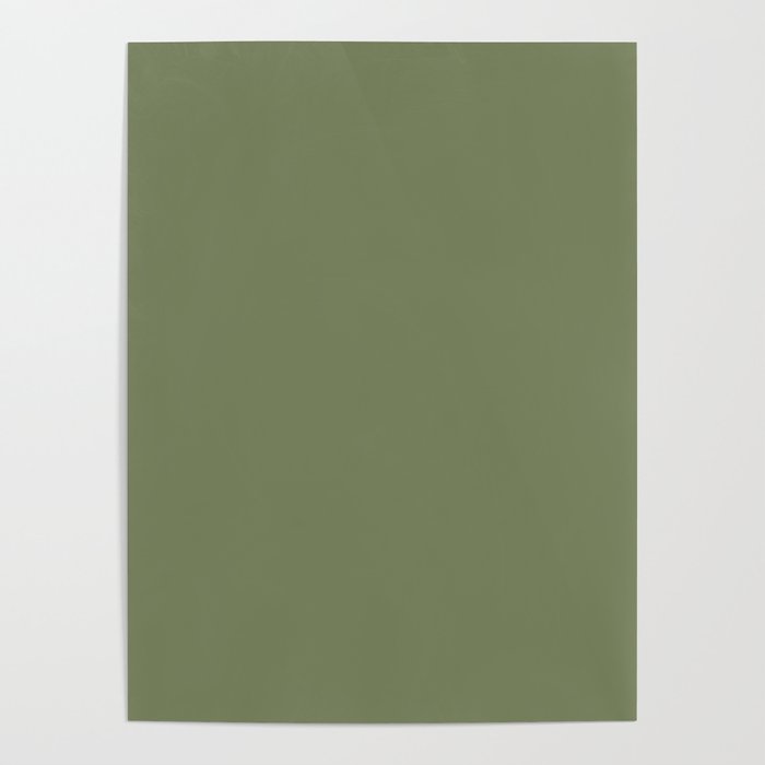 Moss Green Sage Solid Color  Poster Gallery Image 4