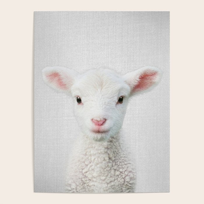 Lamb - Colorful Poster Gallery Image 4