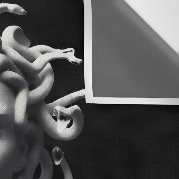 Positive-negative Medusa Wall Tapestry Gallery Image 3