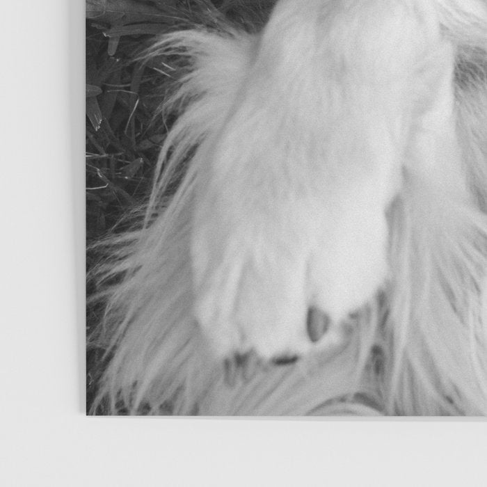 Goofy Enzo Poster Gallery Image 3