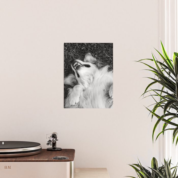 Goofy Enzo Poster Gallery Image 2