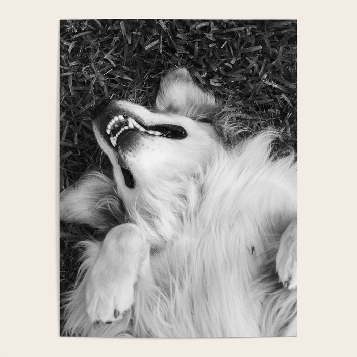 Goofy Enzo Poster Gallery Image 4