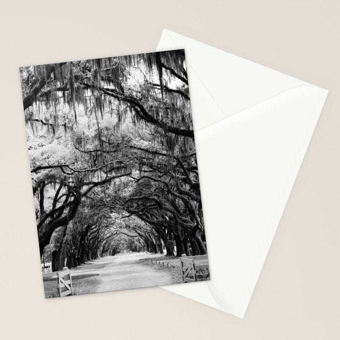 Spanish Moss on Southern Live Oak Trees black and white photograph / black and white art photography Stationery Card Gallery Image 2