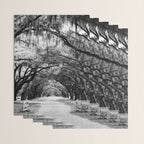 Spanish Moss on Southern Live Oak Trees black and white photograph / black and white art photography Wrapping Paper Gallery Image 3