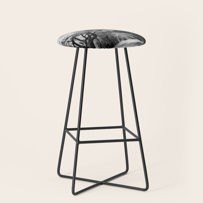 Spanish Moss on Southern Live Oak Trees black and white photograph / black and white art photography Stool Gallery Image 1