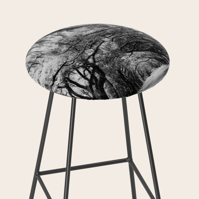 Spanish Moss on Southern Live Oak Trees black and white photograph / black and white art photography Stool Gallery Image 2