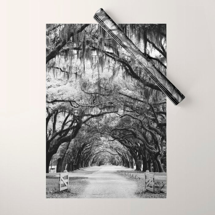 Spanish Moss on Southern Live Oak Trees black and white photograph / black and white art photography Wrapping Paper Gallery Image 1