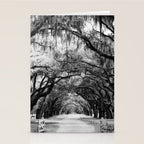 Spanish Moss on Southern Live Oak Trees black and white photograph / black and white art photography Stationery Card Gallery Image 2