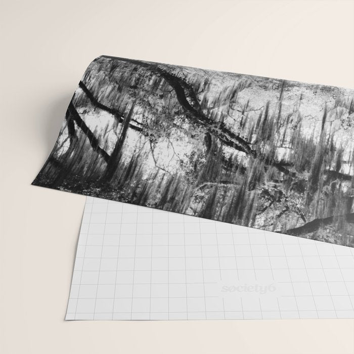 Spanish Moss on Southern Live Oak Trees black and white photograph / black and white art photography Wrapping Paper Gallery Image 2