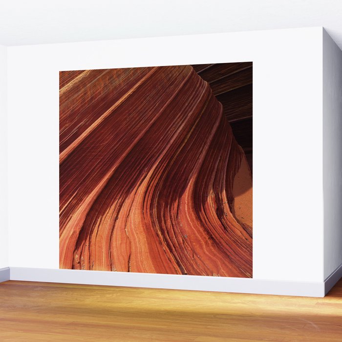 Inside Awesome Red Rock Canyons, Paria Wilderness Wall Mural Gallery Image 2