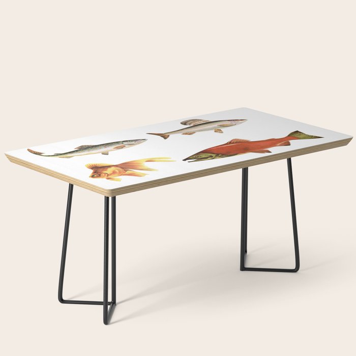 Fishing Line Coffee Table Gallery Image 1