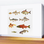 Fishing Line Wall Mural Gallery Image 2