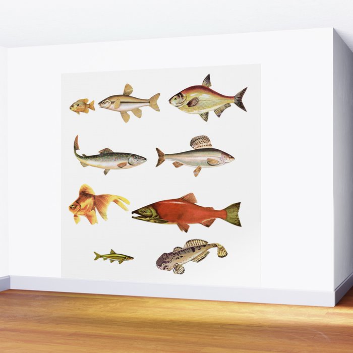 Fishing Line Wall Mural Gallery Image 2