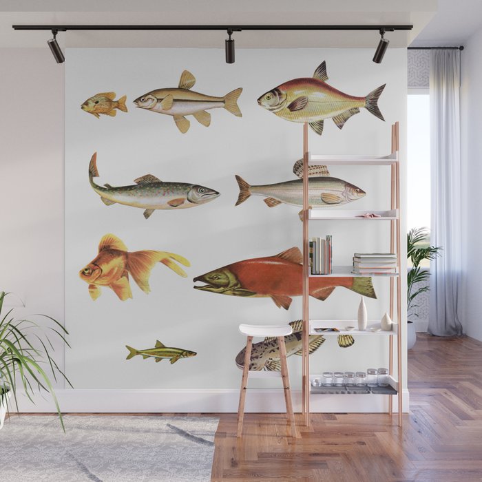Fishing Line Wall Mural Gallery Image 1