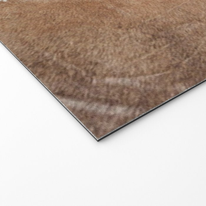 Rustic Farm Cowhide Print Welcome Mat Gallery Image 2