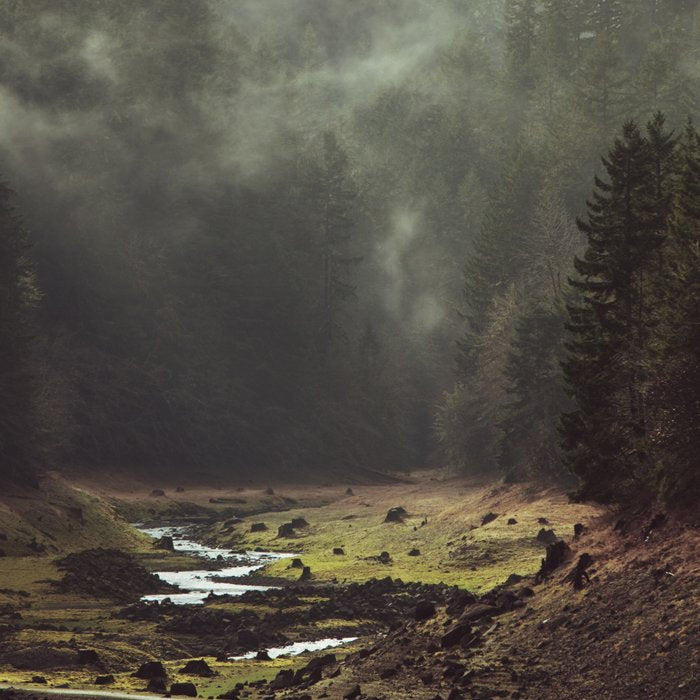 Foggy Forest Creek Coffee Mug Gallery Image 2