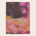 Natural Mysticism Poster Gallery Image 4