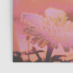 Natural Mysticism Poster Gallery Image 3