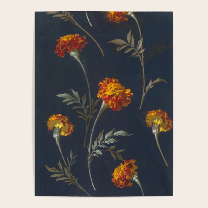 Vintage Marigolds Poster Gallery Image 4