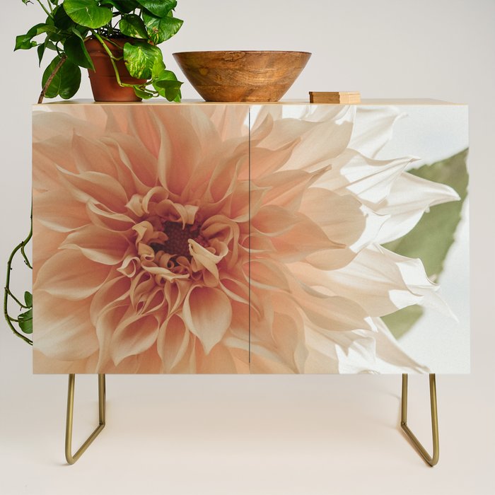 Oh Hello happy pink dahlia flower photograph Credenza Gallery Image 1