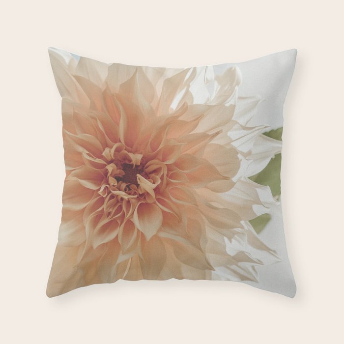 Oh Hello happy pink dahlia flower photograph Throw Pillow Gallery Image 1