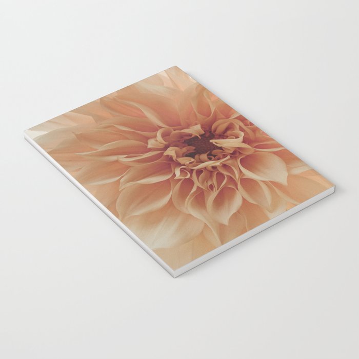 Oh Hello happy pink dahlia flower photograph Notebook Gallery Image 3
