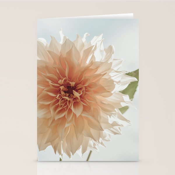 Oh Hello happy pink dahlia flower photograph Stationery Card Gallery Image 2