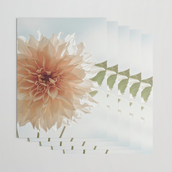 Oh Hello happy pink dahlia flower photograph Wrapping Paper Gallery Image 3