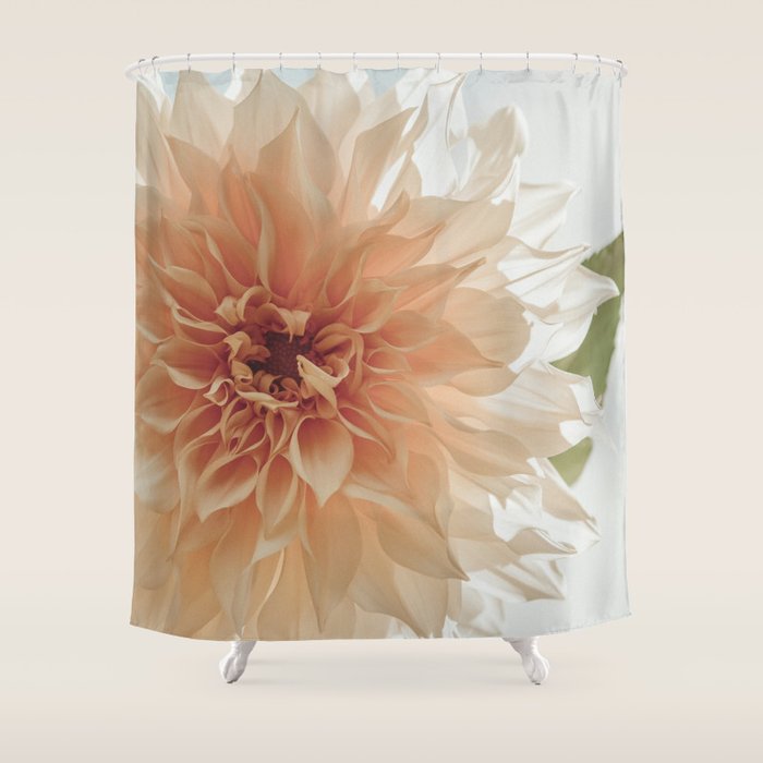 Oh Hello happy pink dahlia flower photograph Shower Curtain Gallery Image 1