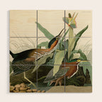 Green Heron - John James Audubon Birds of America Wood Wall Art Gallery Image 1