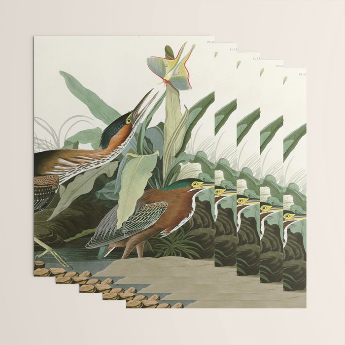 Green Heron - John James Audubon Birds of America Wrapping Paper Gallery Image 3