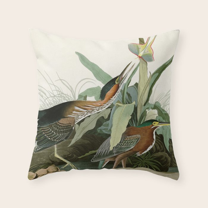 Green Heron - John James Audubon Birds of America Throw Pillow Gallery Image 1