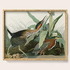 Green Heron - John James Audubon Birds of America Serving Tray Gallery Image 1