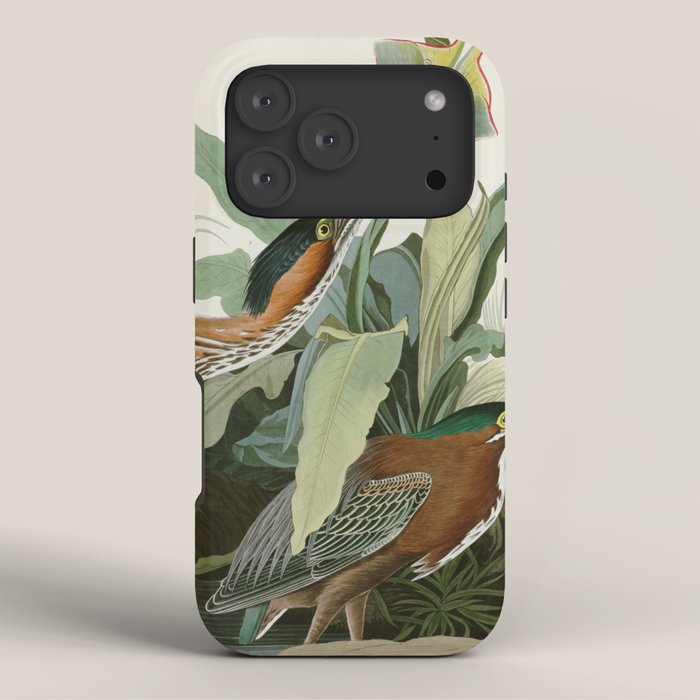 Green Heron - John James Audubon Birds of America iPhone Case Gallery Image 3