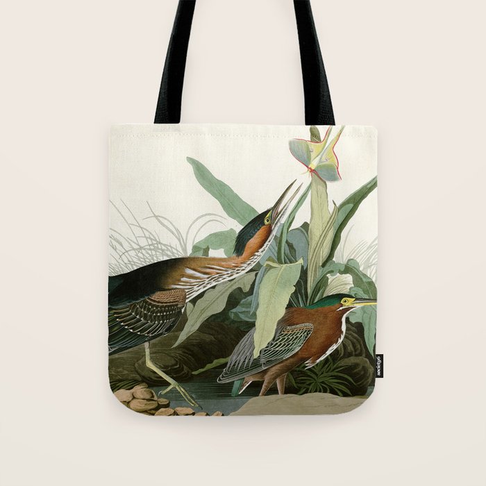 Green Heron - John James Audubon Birds of America Tote Bag Gallery Image 1