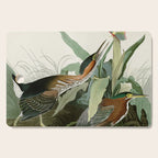 Green Heron - John James Audubon Birds of America Cutting Board Gallery Image 1
