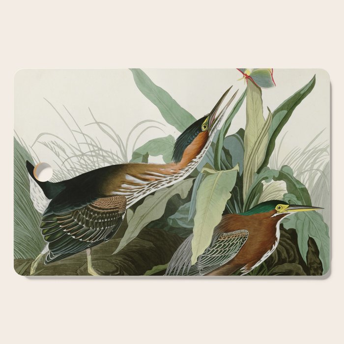 Green Heron - John James Audubon Birds of America Cutting Board Gallery Image 1