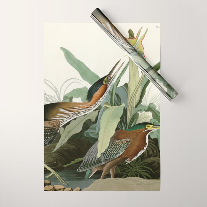 Green Heron - John James Audubon Birds of America Wrapping Paper Gallery Image 1