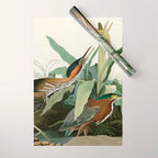 Green Heron - John James Audubon Birds of America Wrapping Paper Gallery Image 1