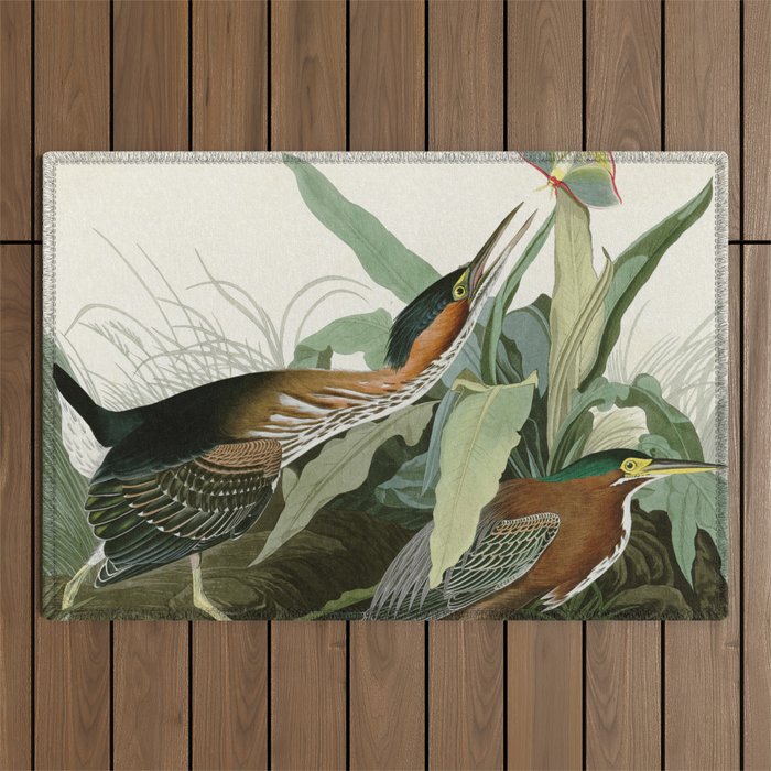 Green Heron - John James Audubon Birds of America Outdoor Rug Gallery Image 1
