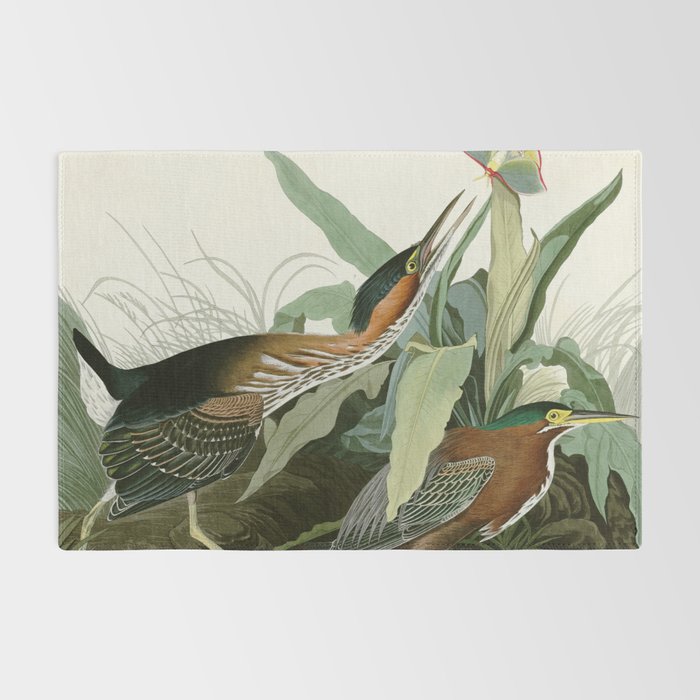 Green Heron - John James Audubon Birds of America Rug Gallery Image 2