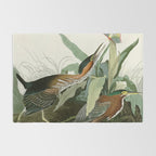 Green Heron - John James Audubon Birds of America Rug Gallery Image 2
