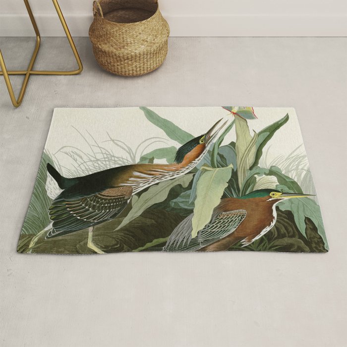 Green Heron - John James Audubon Birds of America Rug Gallery Image 1