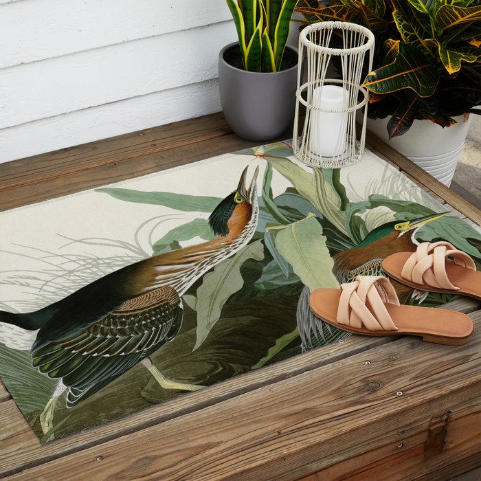 Green Heron - John James Audubon Birds of America Outdoor Rug Gallery Image 2
